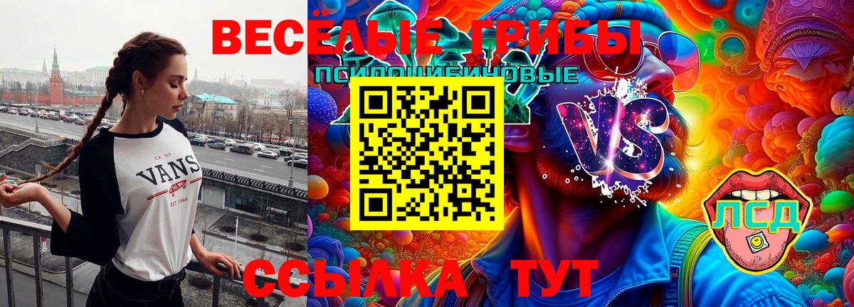 Домодедово  Псилоцибиновые грибы Psilocybine cubensis  Вход с VPN 