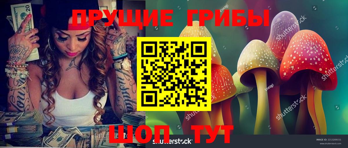 Псилоцибиновые грибы Psilocybine cubensis Домодедово